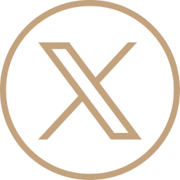 X Icon